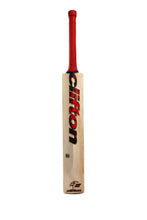 Load image into Gallery viewer, KG Wild 20-20 Cricket Bat
