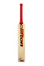 Load image into Gallery viewer, KG T20 Cricket Bat
