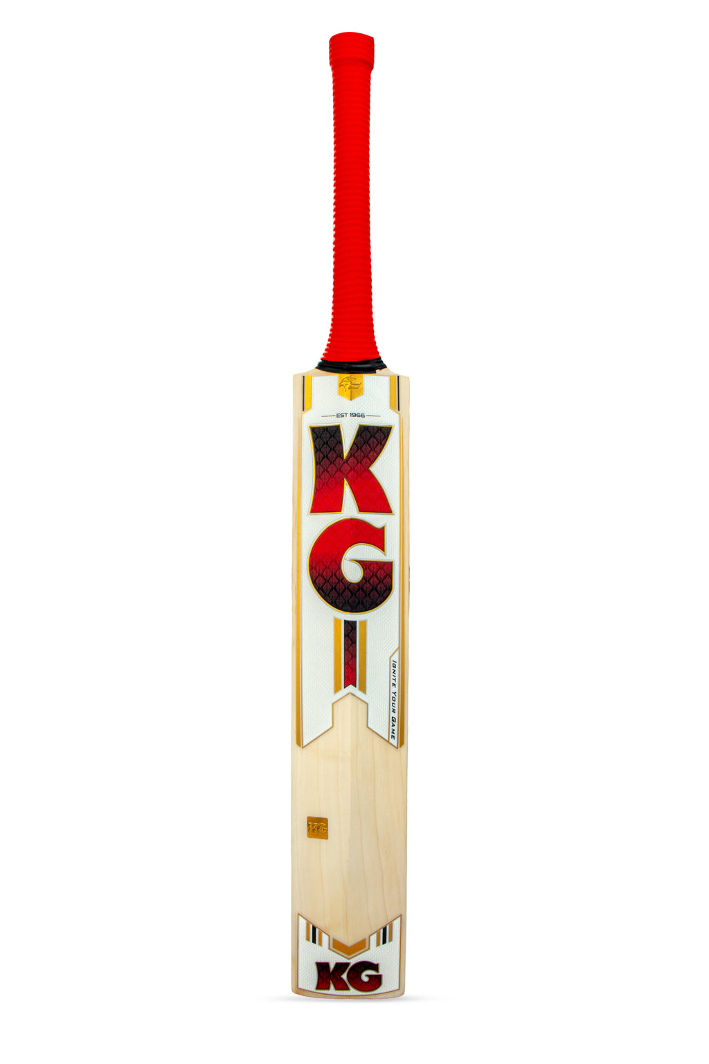 KG Hitter Cricket Bat