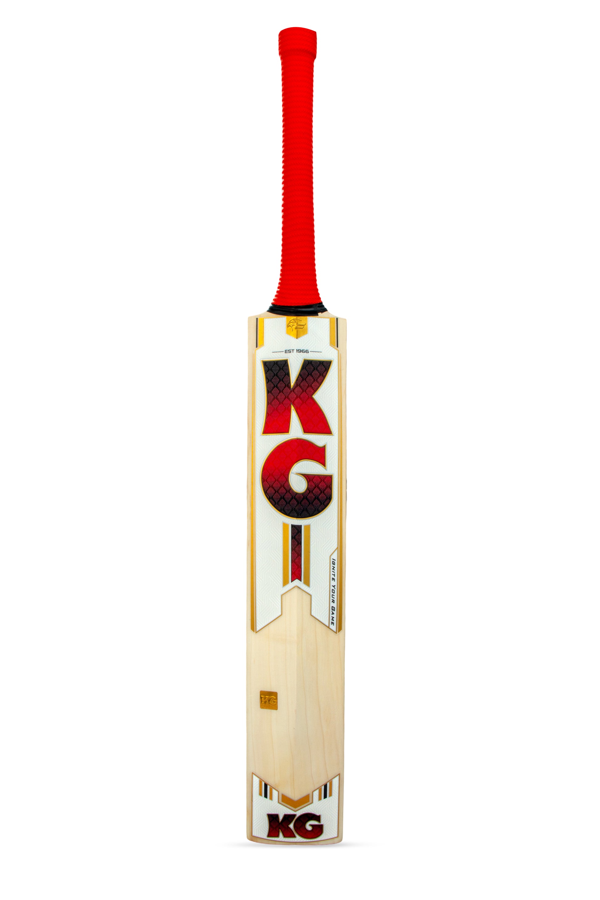KG Hitter Cricket Bat