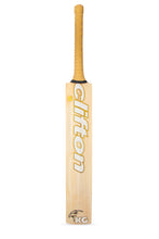 Load image into Gallery viewer, KG Retro Players Cricket Bat
